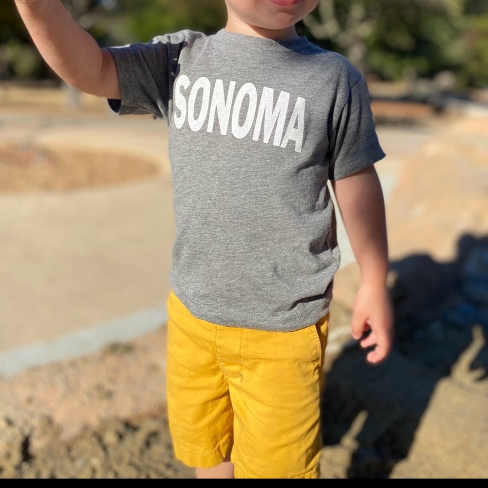 2 Pairs of Oshkosh Shorts; Size 2T